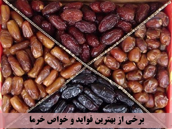خواص خرما